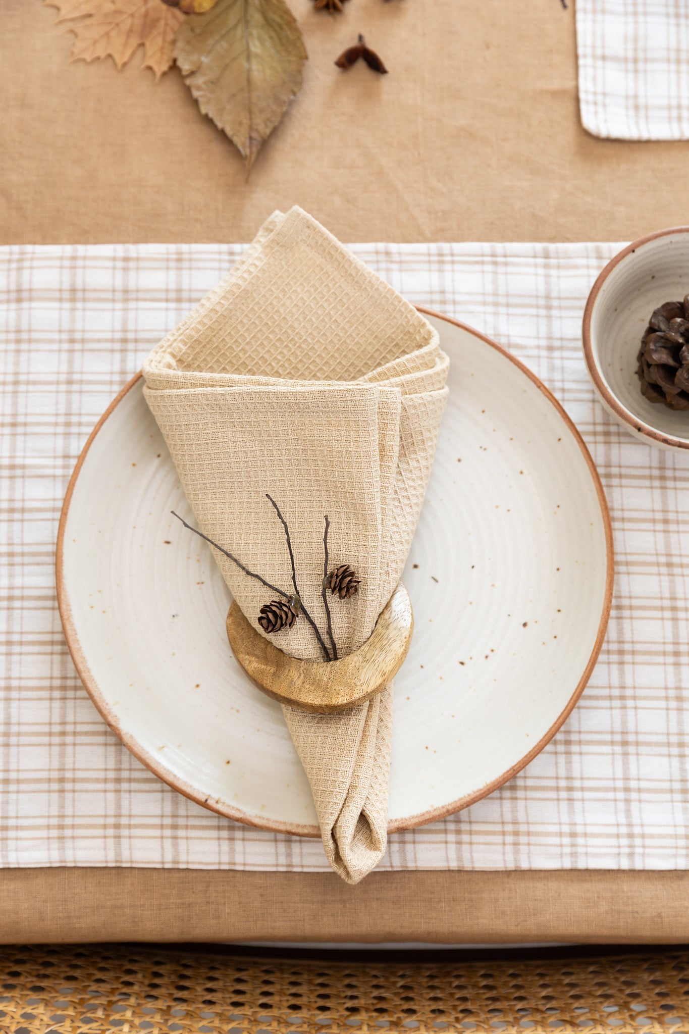 Almond Biscotti Check Reversible Tablemats